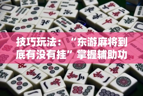技巧玩法：“东游麻将到底有没有挂”掌握辅助功能必胜规则