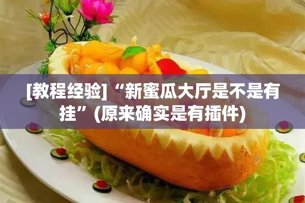 [教程经验]“新蜜瓜大厅是不是有挂”(原来确实是有插件)