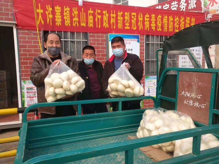 太康疫情（太康疫情最新实时消息今天）