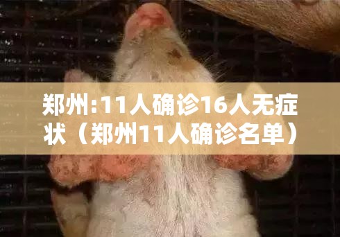 郑州:11人确诊16人无症状(郑州11人确诊名单) 郑州:11人确诊16人无症状(郑州11人确诊名单)