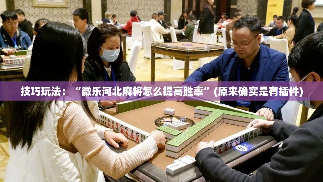 技巧玩法:“微乐河北麻将怎么提高胜率”(原来确实是有插件) 技巧玩法:“微乐河北麻将怎么提高胜率”(原来确实是有插件)