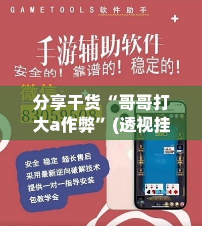 分享干货“哥哥打大a作弊”(透视挂)辅助透视教程