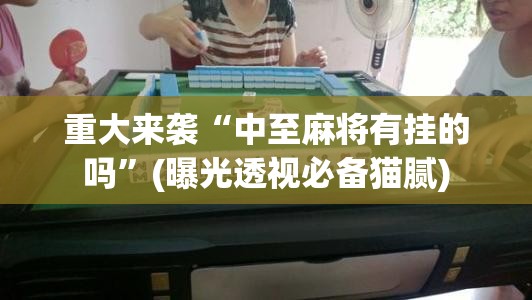 重大来袭“中至麻将有挂的吗”(曝光透视必备猫腻)