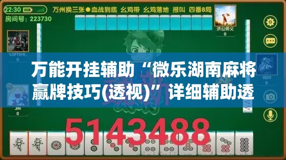 万能开挂辅助“微乐湖南麻将赢牌技巧(透视)”详细辅助透视