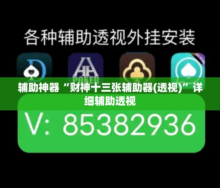辅助神器“财神十三张辅助器(透视)”详细辅助透视