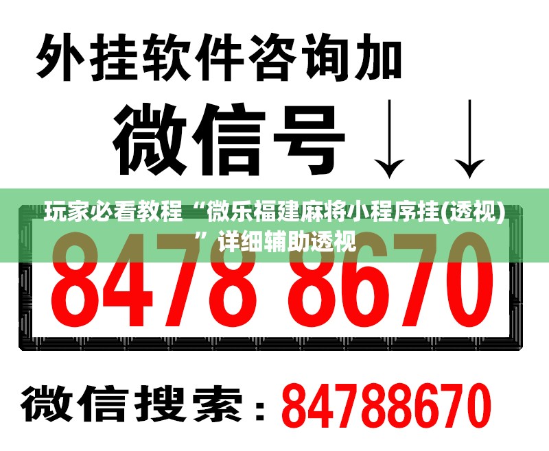 玩家必看教程“微乐福建麻将小程序挂(透视)”详细辅助透视