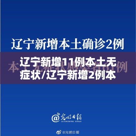 辽宁新增11例本土无症状/辽宁新增2例本土确诊6例无症状 辽宁新增11例本土无症状/辽宁新增2例本土确诊6例无症状