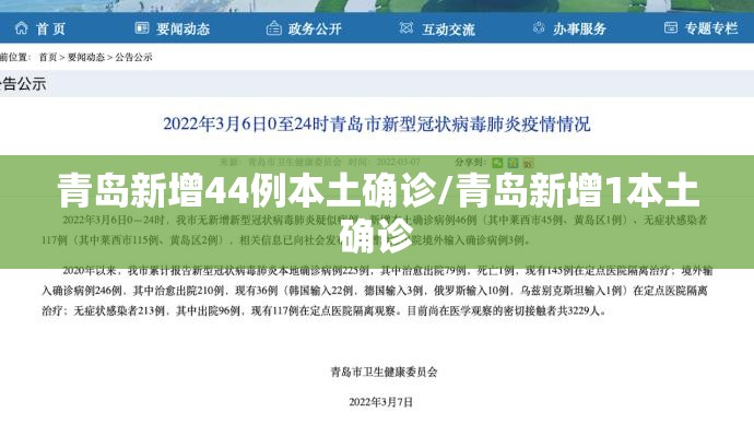 青岛新增44例本土确诊/青岛新增1本土确诊