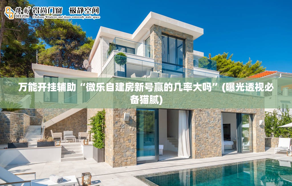 万能开挂辅助“微乐自建房新号赢的几率大吗”(曝光透视必备猫腻)
