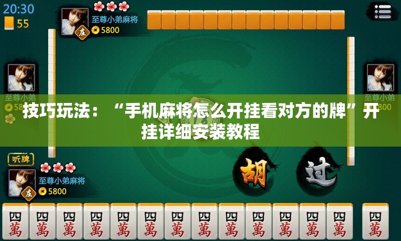 技巧玩法:“手机麻将怎么开挂看对方的牌”开挂详细安装教程 技巧玩法:“手机麻将怎么开挂看对方的牌”开挂详细安装教程