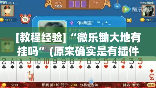 [教程经验]“微乐锄大地有挂吗”(原来确实是有插件)