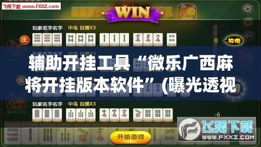 辅助开挂工具“微乐广西麻将开挂版本软件”(曝光透视必备猫腻)