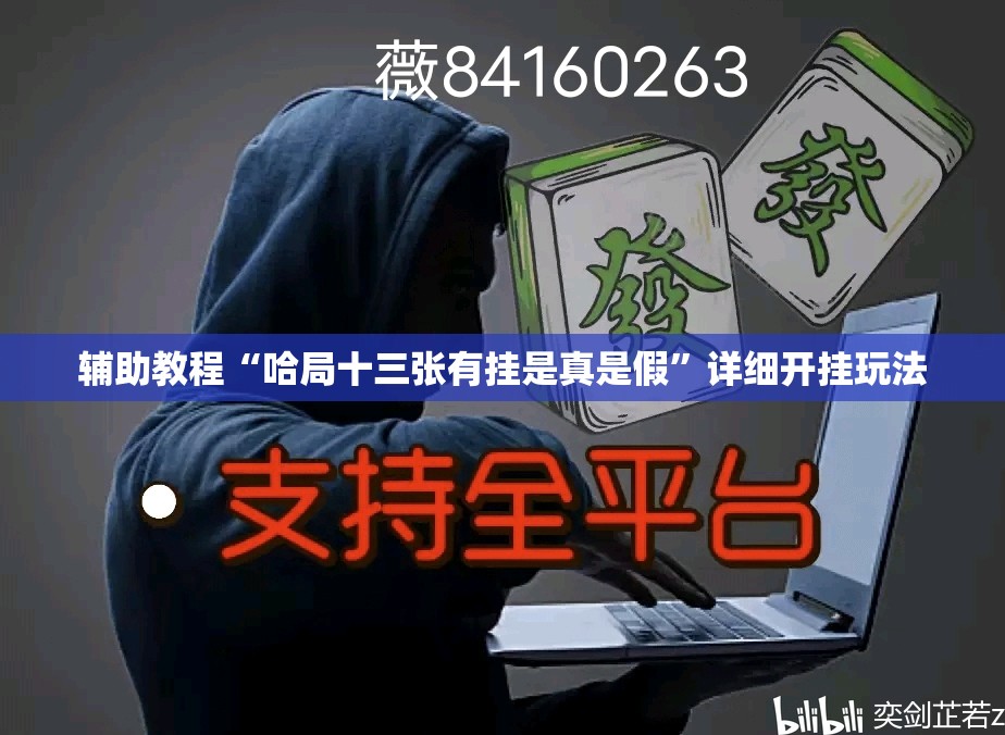 辅助教程“哈局十三张有挂是真是假”详细开挂玩法 辅助教程“哈局十三张有挂是真是假”详细开挂玩法