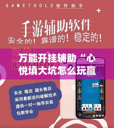 万能开挂辅助“心悦填大坑怎么玩赢的几率大”开挂(透视)辅助神器