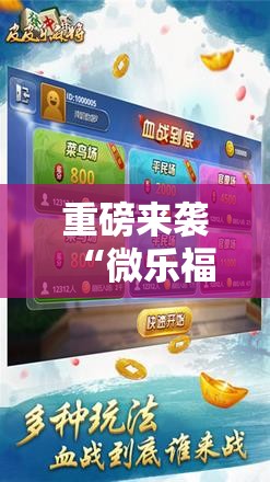 重磅来袭“微乐福建麻将开挂神器”掌握辅助功能必胜规则 重磅来袭“微乐福建麻将开挂神器”掌握辅助功能必胜规则