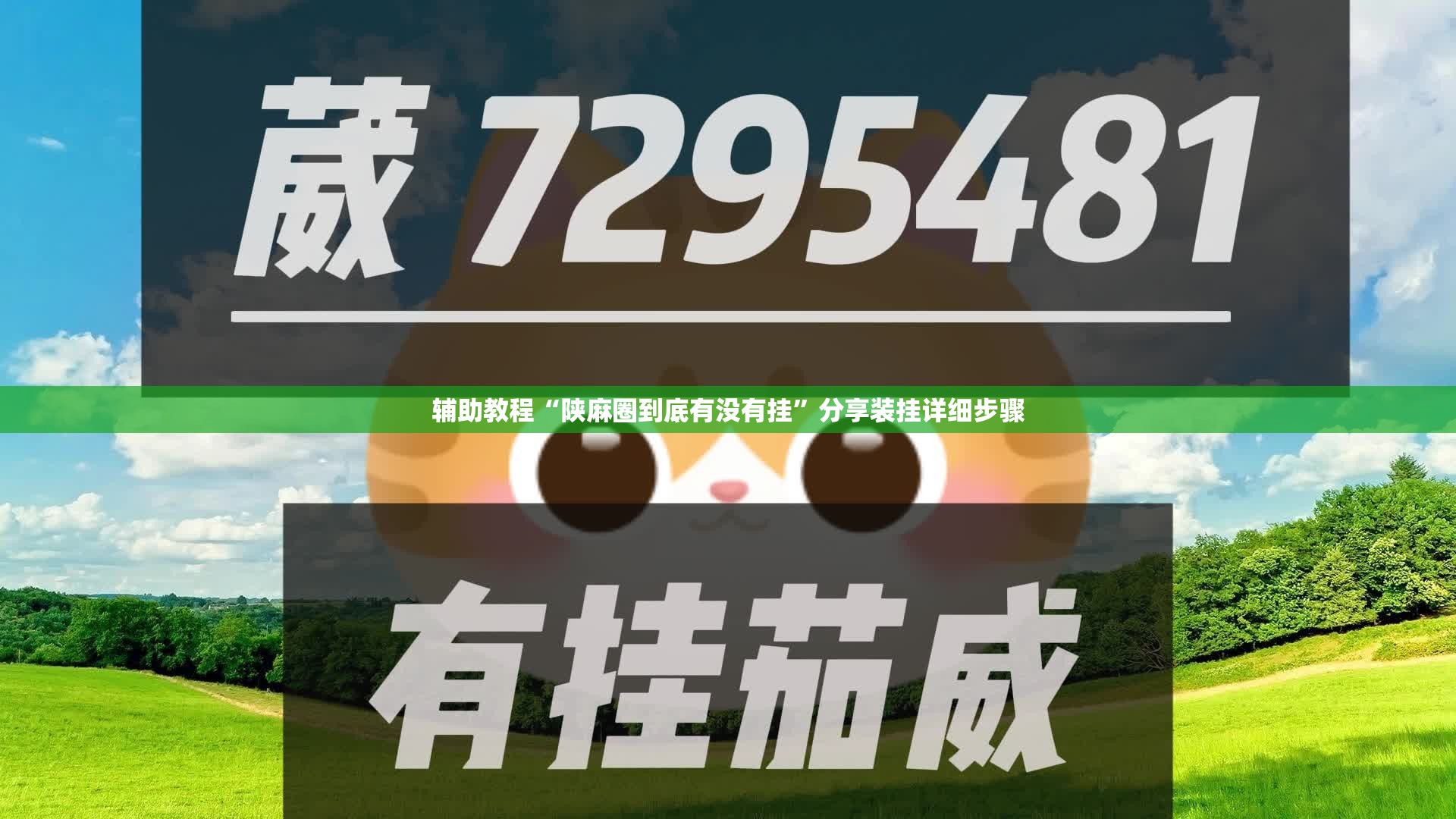 辅助教程“陕麻圈到底有没有挂”分享装挂详细步骤 辅助教程“陕麻圈到底有没有挂”分享装挂详细步骤