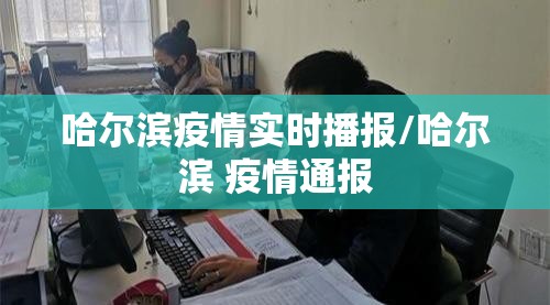 哈尔滨疫情实时播报/哈尔滨 疫情通报