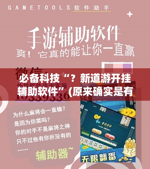 必备科技“?新道游开挂辅助软件”(原来确实是有插件) 必备科技“?新道游开挂辅助软件”(原来确实是有插件)