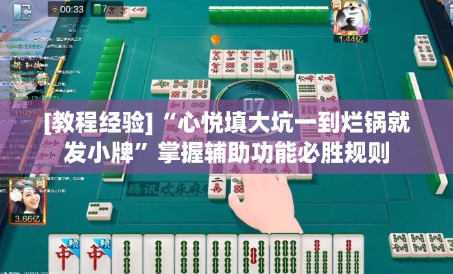 [教程经验]“心悦填大坑一到烂锅就发小牌”掌握辅助功能必胜规则