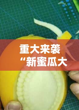 重大来袭“新蜜瓜大厅怎样才能赢”分享装挂详细步骤 重大来袭“新蜜瓜大厅怎样才能赢”分享装挂详细步骤