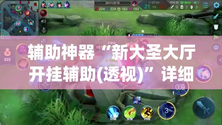 辅助神器“新大圣大厅开挂辅助(透视)”详细辅助透视