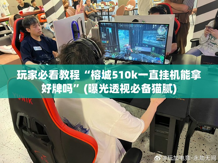 玩家必看教程“榕城510k一直挂机能拿好牌吗”(曝光透视必备猫腻)