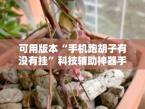 可用版本“手机跑胡子有没有挂”科技辅助神器手机版教程