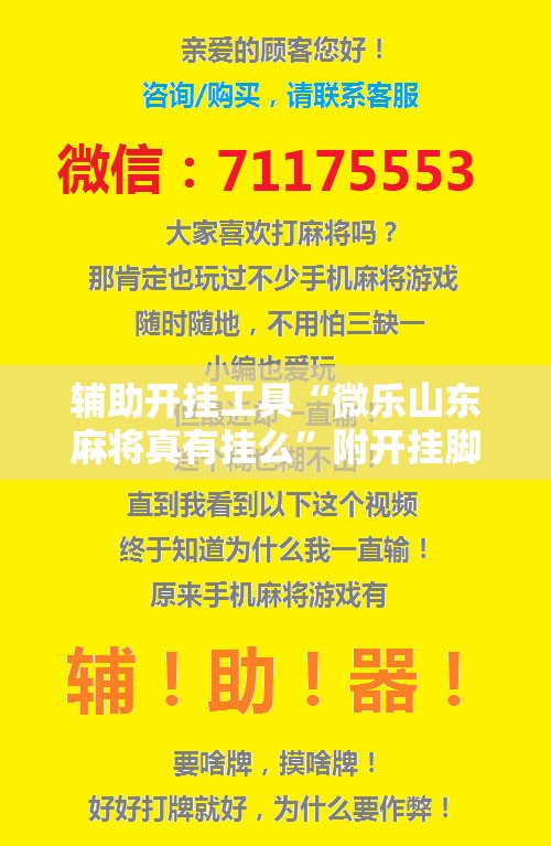 辅助开挂工具“微乐山东麻将真有挂么”附开挂脚本详细教程