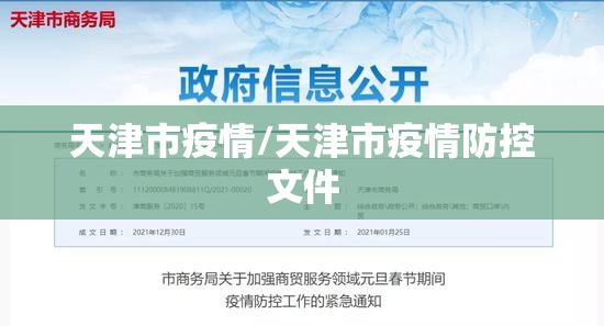 天津市疫情/天津市疫情防控文件