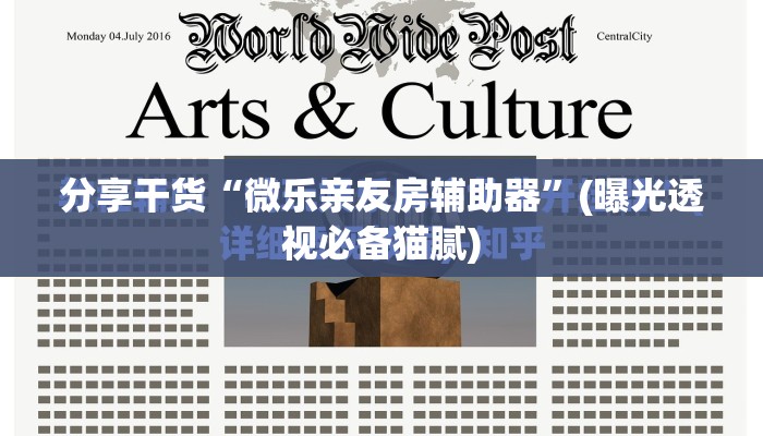 分享干货“微乐亲友房辅助器”(曝光透视必备猫腻)