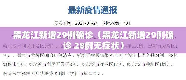 黑龙江新增29例确诊（黑龙江新增29例确诊 28例无症状）