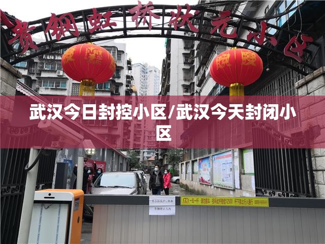 武汉今日封控小区/武汉今天封闭小区