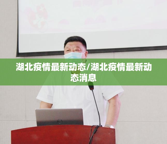 湖北疫情最新动态/湖北疫情最新动态消息