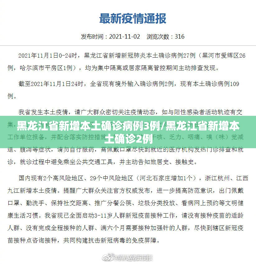 黑龙江省新增本土确诊病例3例/黑龙江省新增本土确诊2例