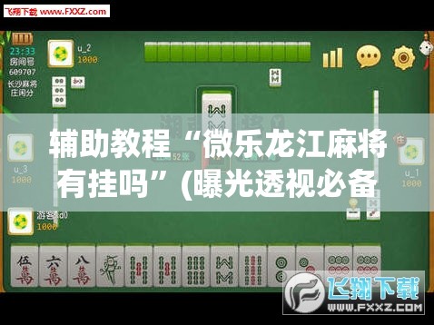 辅助教程“微乐龙江麻将有挂吗”(曝光透视必备猫腻)