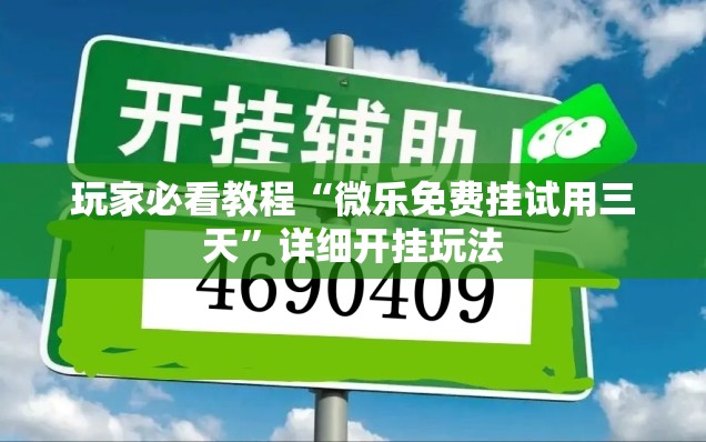 玩家必看教程“微乐免费挂试用三天”详细开挂玩法
