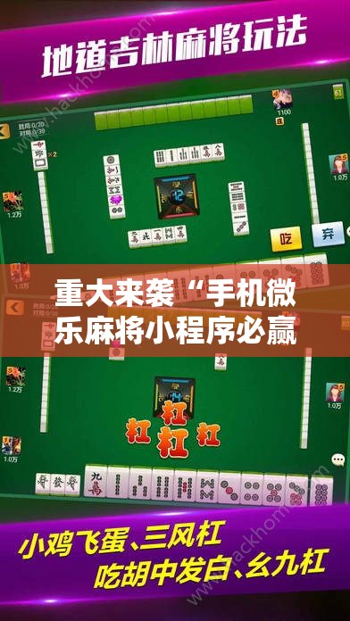 重大来袭“手机微乐麻将小程序必赢神器免费安装”通用版下载教程! 重大来袭“手机微乐麻将小程序必赢神器免费安装”通用版下载教程!