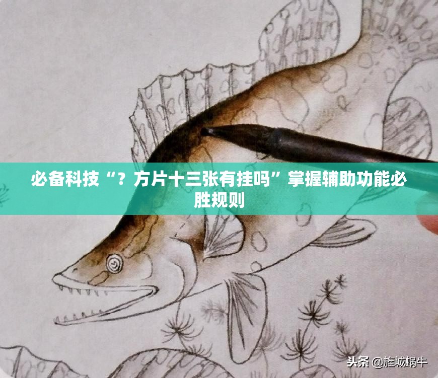 必备科技“？方片十三张有挂吗”掌握辅助功能必胜规则