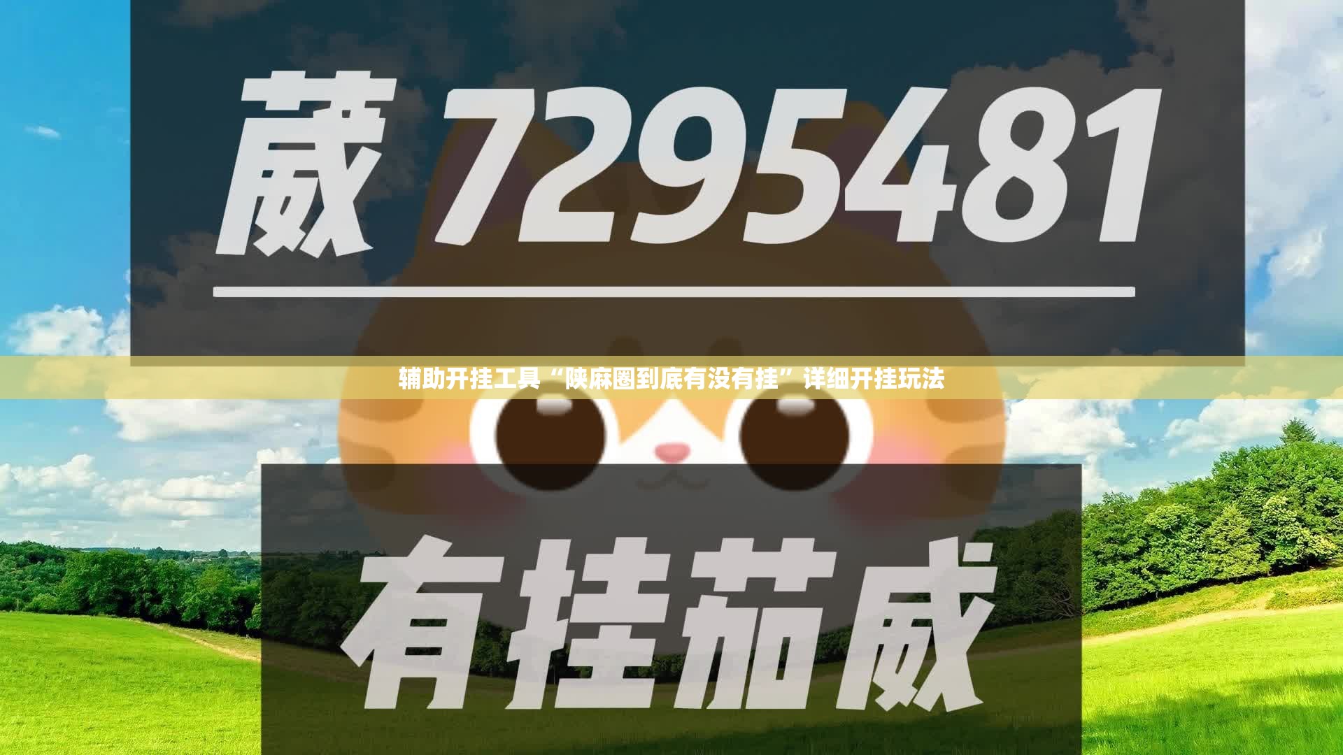 辅助开挂工具“陕麻圈到底有没有挂”详细开挂玩法