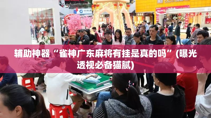 辅助神器“雀神广东麻将有挂是真的吗”(曝光透视必备猫腻)