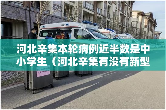 河北辛集本轮病例近半数是中小学生(河北辛集有没有新型肺炎2021年) 河北辛集本轮病例近半数是中小学生(河北辛集有没有新型肺炎2021年)