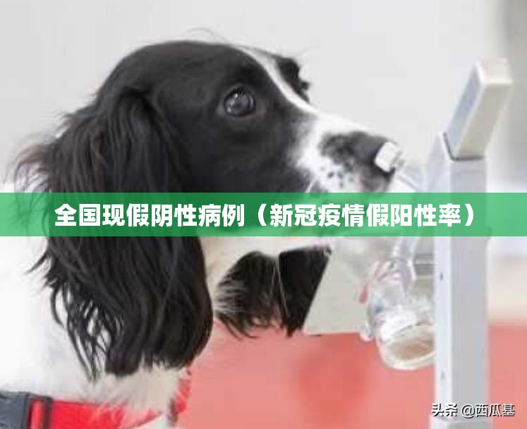全国现假阴性病例(新冠疫情假阳性率) 全国现假阴性病例(新冠疫情假阳性率)