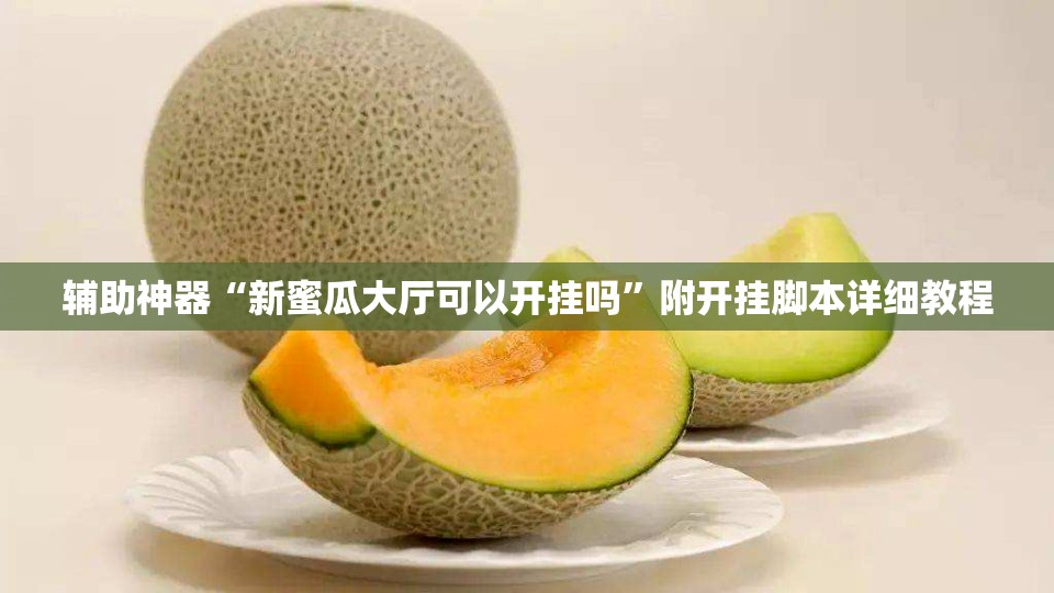 辅助神器“新蜜瓜大厅可以开挂吗”附开挂脚本详细教程