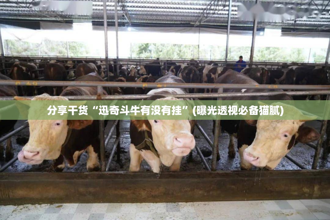 分享干货“迅奇斗牛有没有挂”(曝光透视必备猫腻)