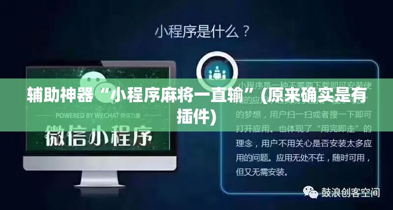 辅助神器“小程序麻将一直输”(原来确实是有插件)