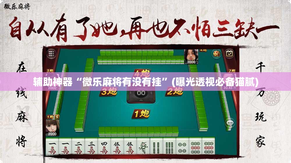 辅助神器“微乐麻将有没有挂”(曝光透视必备猫腻)