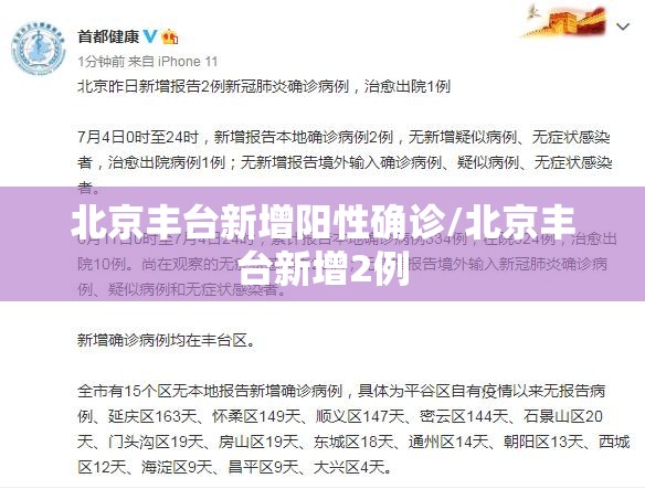 北京丰台新增阳性确诊/北京丰台新增2例