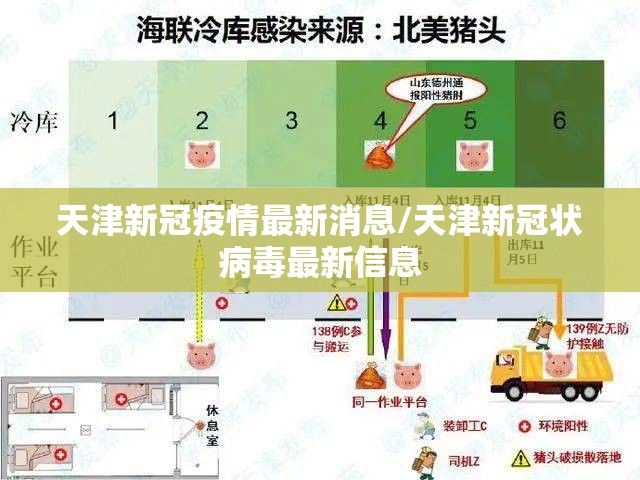 天津新冠疫情最新消息/天津新冠状病毒最新信息