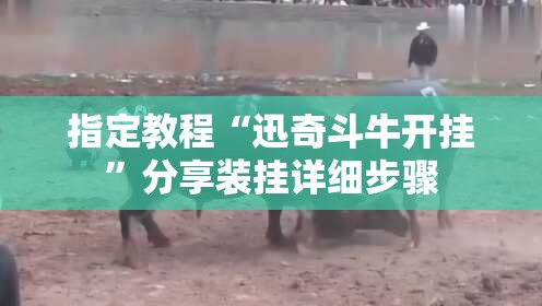 指定教程“迅奇斗牛开挂”分享装挂详细步骤