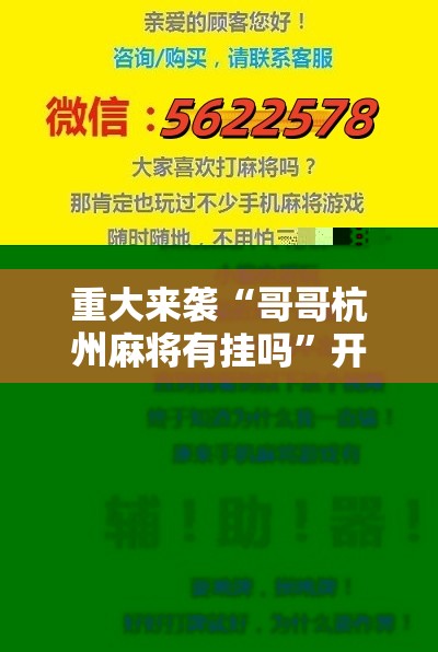 重大来袭“哥哥杭州麻将有挂吗”开挂详细安装教程